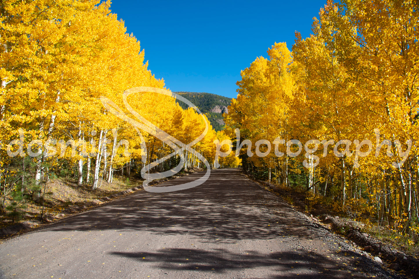 Golden Road