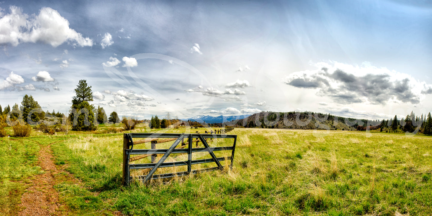 Gate in a Meadow