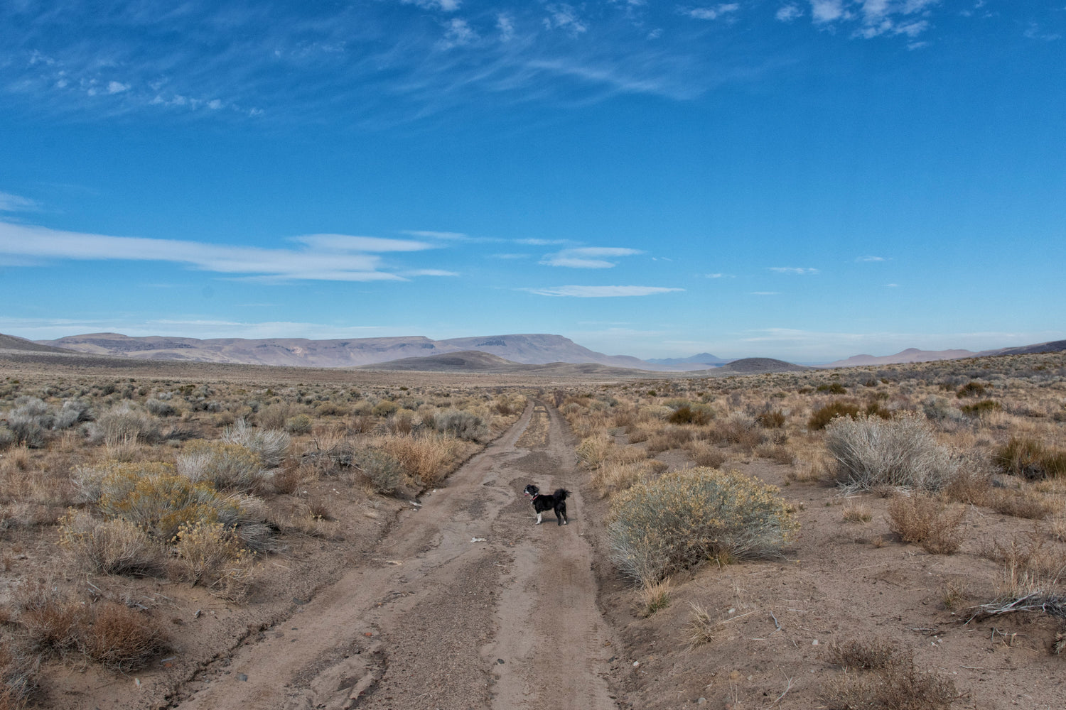 A Walk with Nature (all photos)