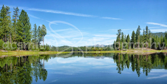 Reflections on the Water