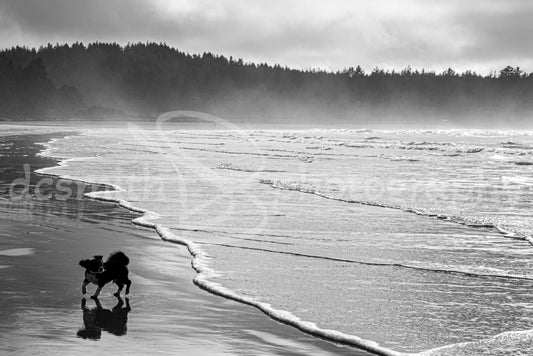 Two Touching Sand